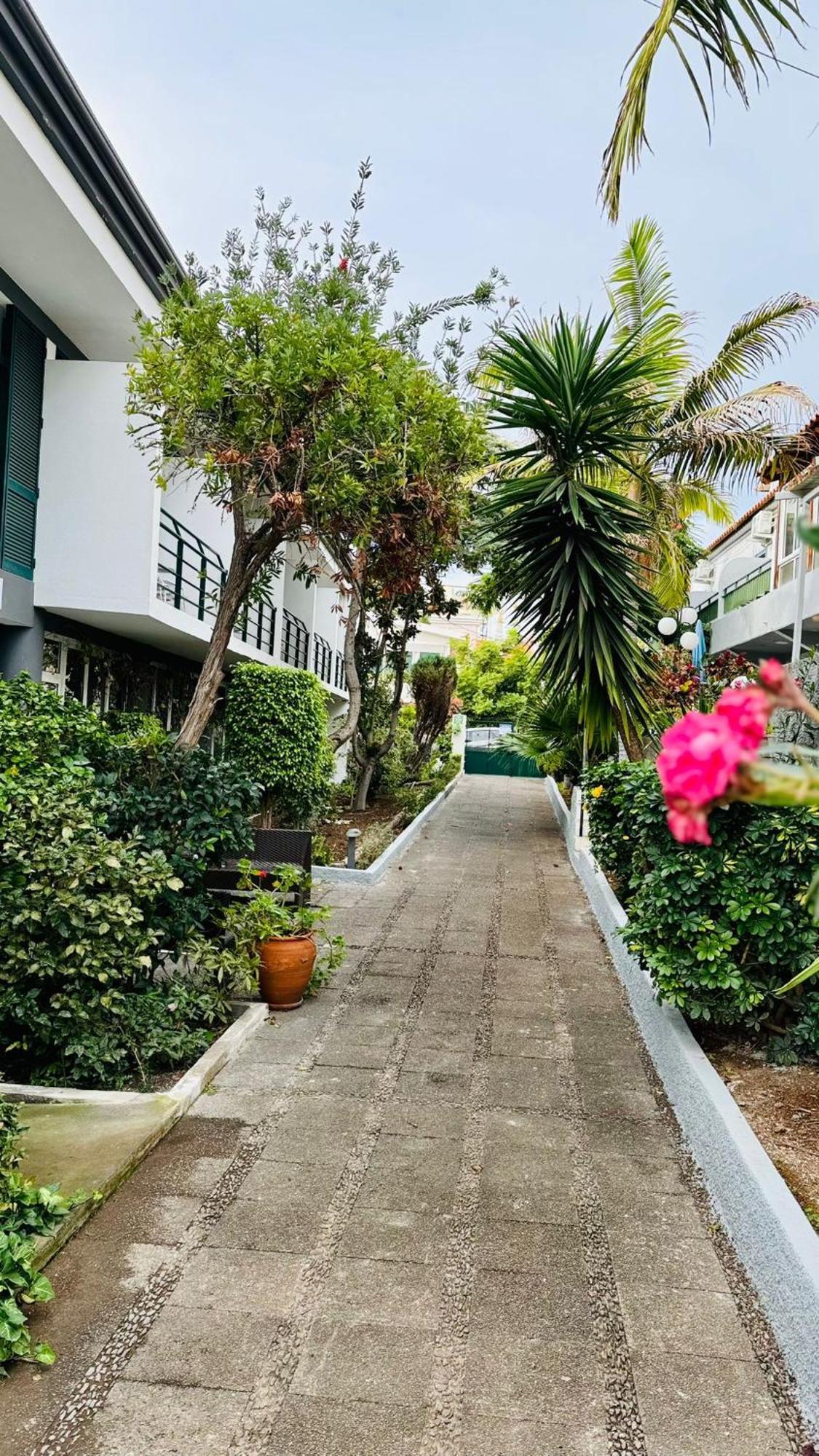 Monte Verde Funchal  Ngoại thất bức ảnh